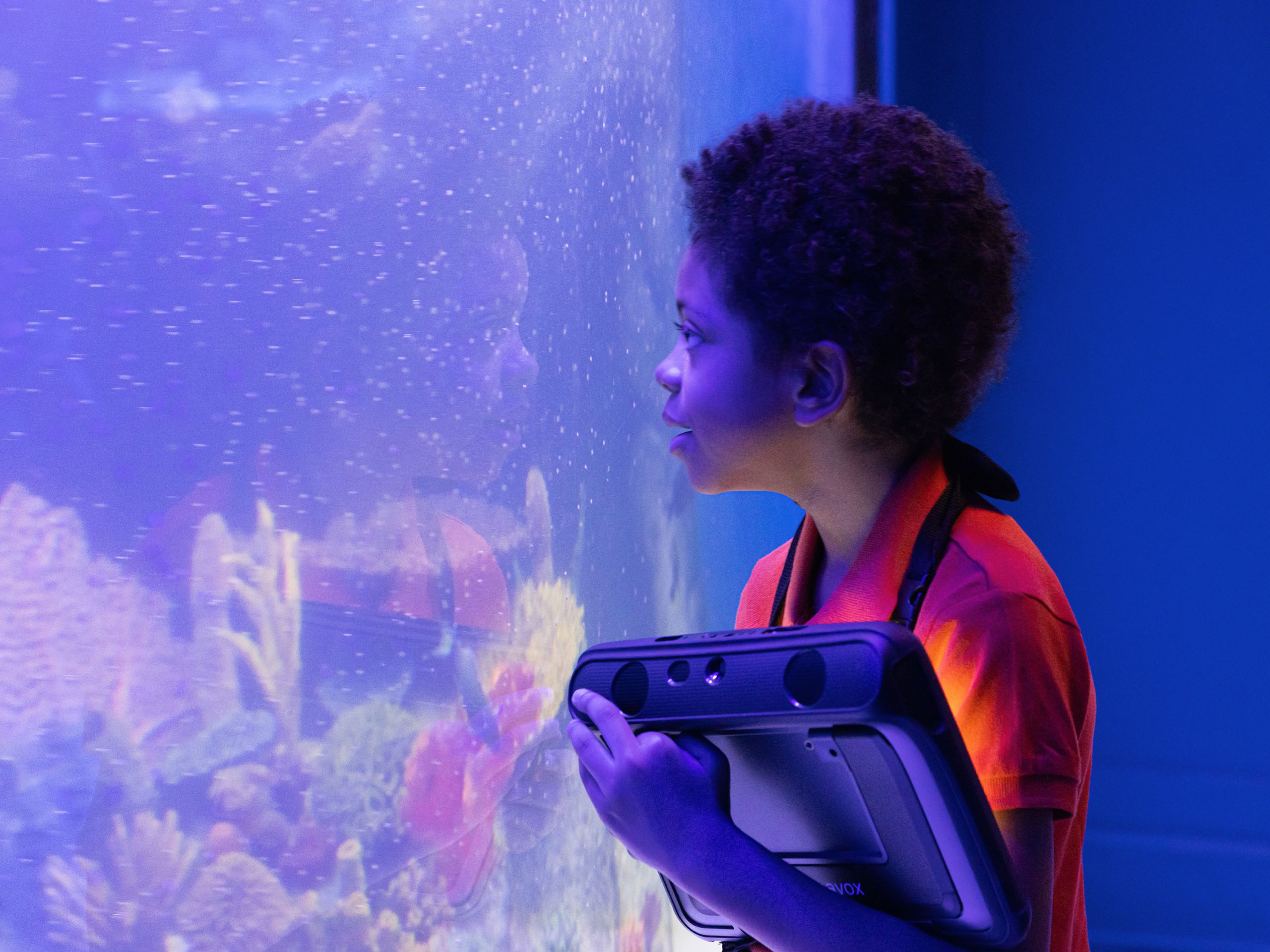 Elementos de integración sensorial en una sala multisensorial para favorecer la calma